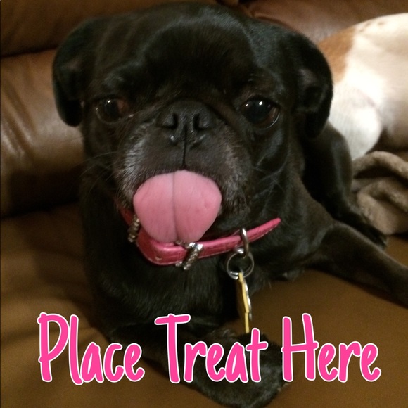 Meet your Posher, Tina - Picture 2 of 16